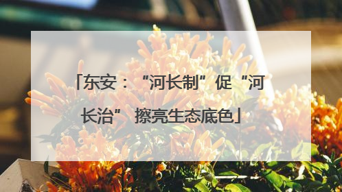 东安：“河长制”促“河长治” 擦亮生态底色