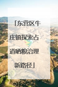 东营区牛庄镇探索占道晒粮治理新路径