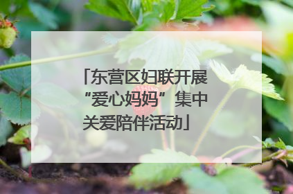 东营区妇联开展“爱心妈妈”集中关爱陪伴活动