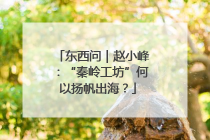 东西问｜赵小峰：“秦岭工坊”何以扬帆出海？