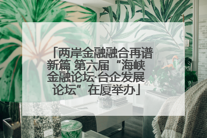 两岸金融融合再谱新篇 第六届“海峡金融论坛·台企发展论坛”在厦举办