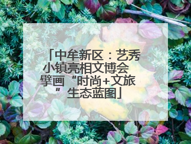 中牟新区：艺秀小镇亮相文博会 擘画“时尚+文旅”生态蓝图