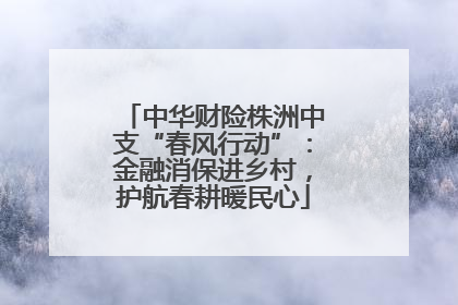 中华财险株洲中支“春风行动”：金融消保进乡村，护航春耕暖民心