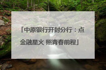 中原银行开封分行：点金融星火 照青春前程