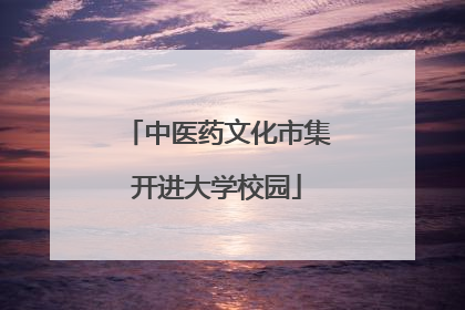 中医药文化市集开进大学校园
