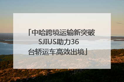 中哈跨境运输新突破 SJIUS助力36台轿运车高效出境