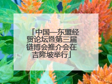 中国—东盟经贸论坛暨第三届链博会推介会在吉隆坡举行