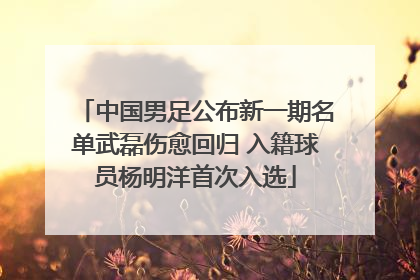 中国男足公布新一期名单武磊伤愈回归 入籍球员杨明洋首次入选
