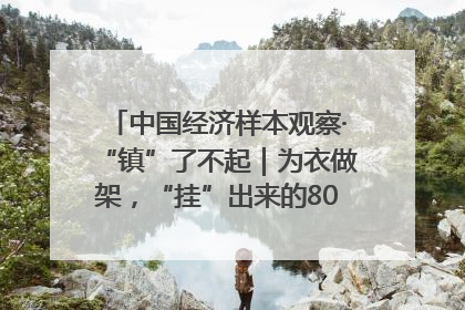 中国经济样本观察·“镇”了不起｜为衣做架，“挂”出来的80亿元“衣架产业”