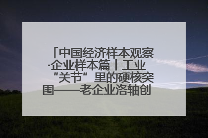 中国经济样本观察·企业样本篇丨工业“关节”里的硬核突围——老企业洛轴创新蝶变启示录