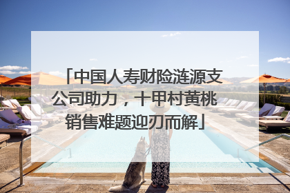 中国人寿财险涟源支公司助力，十甲村黄桃销售难题迎刃而解