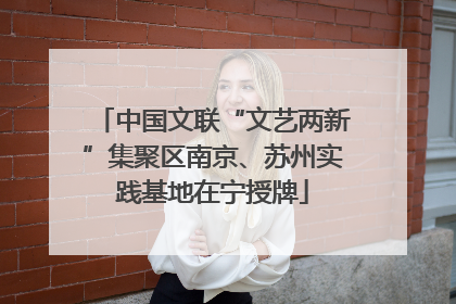 中国文联“文艺两新”集聚区南京、苏州实践基地在宁授牌