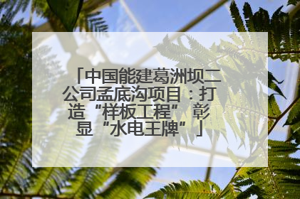 中国能建葛洲坝二公司孟底沟项目：打造“样板工程” 彰显“水电王牌”