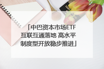 中巴资本市场ETF互联互通落地 高水平制度型开放稳步推进
