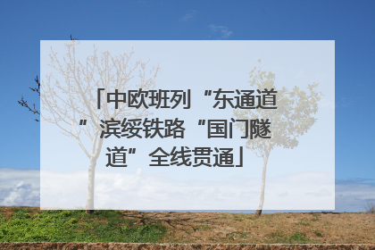 中欧班列“东通道”滨绥铁路“国门隧道”全线贯通