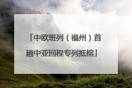 中欧班列（福州）首趟中亚回程专列抵榕