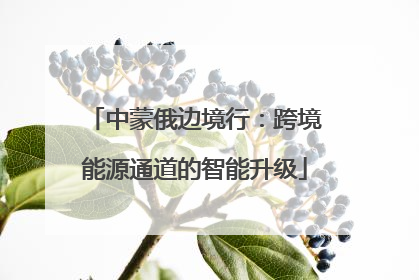 中蒙俄边境行：跨境能源通道的智能升级