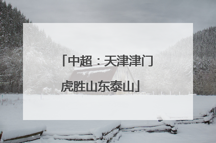 中超：天津津门虎胜山东泰山