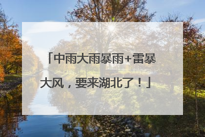 中雨大雨暴雨+雷暴大风，要来湖北了！