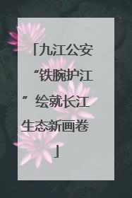 九江公安“铁腕护江”绘就长江生态新画卷