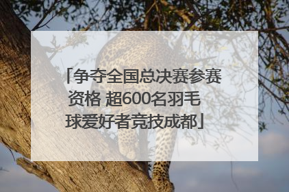 争夺全国总决赛参赛资格 超600名羽毛球爱好者竞技成都