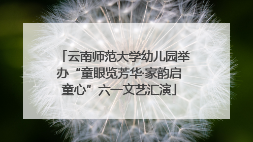 云南师范大学幼儿园举办“童眼览芳华·家韵启童心”六一文艺汇演