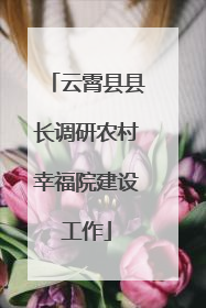 云霄县县长调研农村幸福院建设工作