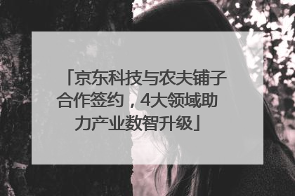 京东科技与农夫铺子合作签约，4大领域助力产业数智升级