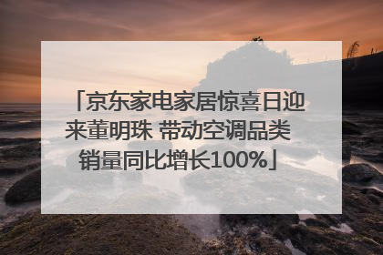 京东家电家居惊喜日迎来董明珠 带动空调品类销量同比增长100%