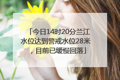 今日14时20分兰江水位达到警戒水位28米，目前已缓慢回落