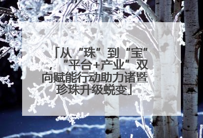 从“珠”到“宝”，“平台+产业”双向赋能行动助力诸暨珍珠升级蜕变