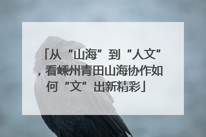 从“山海”到“人文”，看嵊州青田山海协作如何“文”出新精彩