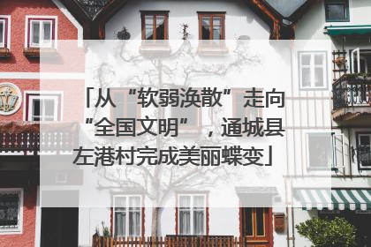 从“软弱涣散”走向“全国文明”，通城县左港村完成美丽蝶变