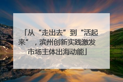 从“走出去”到“活起来”，滨州创新实践激发市场主体出海动能