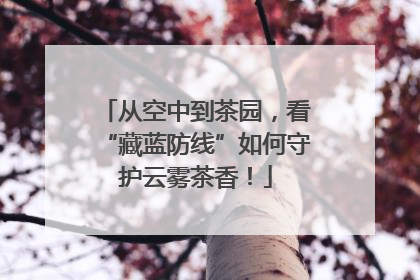 从空中到茶园，看“藏蓝防线”如何守护云雾茶香！