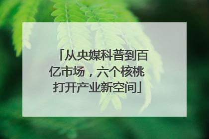 从央媒科普到百亿市场，六个核桃打开产业新空间