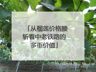 从榴莲价格腰斩看中老铁路的多重价值