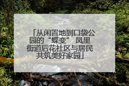 从闲置地到口袋公园的“蝶变” 凤里街道后花社区与居民共筑美好家园