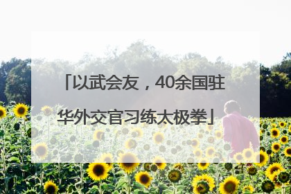 以武会友，40余国驻华外交官习练太极拳