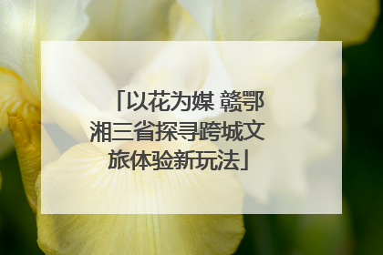 以花为媒 赣鄂湘三省探寻跨城文旅体验新玩法