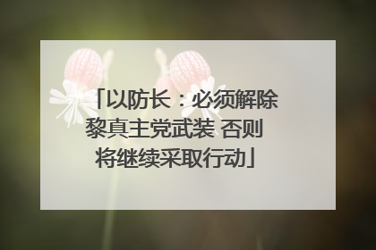 以防长：必须解除黎真主党武装 否则将继续采取行动
