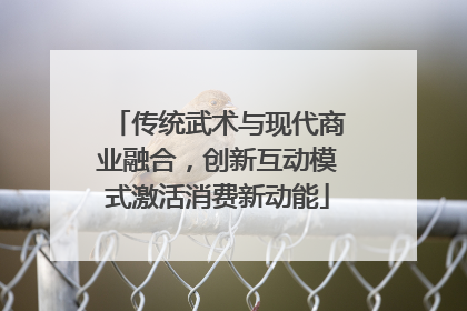 传统武术与现代商业融合，创新互动模式激活消费新动能