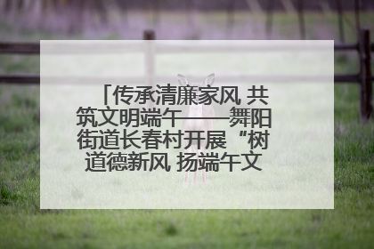传承清廉家风 共筑文明端午——舞阳街道长春村开展“树道德新风 扬端午文化”主题活动
