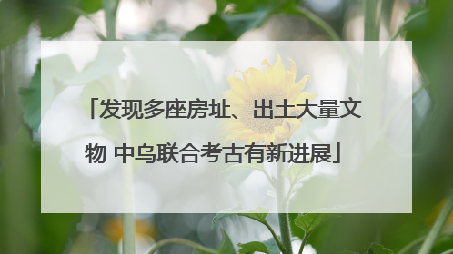 发现多座房址、出土大量文物 中乌联合考古有新进展