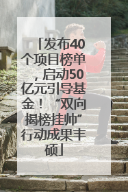 发布40个项目榜单，启动50亿元引导基金！“双向揭榜挂帅”行动成果丰硕
