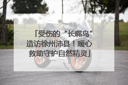 受伤的“长嘴鸟”造访徐州沛县！暖心救助守护自然精灵