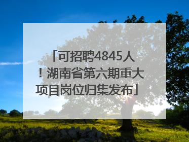 可招聘4845人！湖南省第六期重大项目岗位归集发布