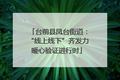 台前县凤台街道：“线上线下”齐发力 暖心验证进行时