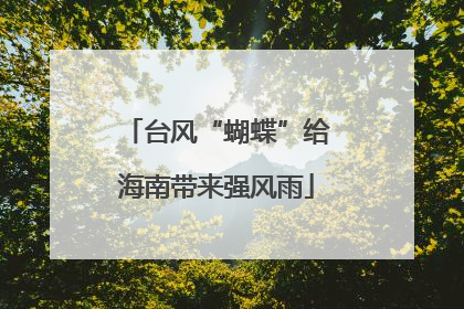 台风“蝴蝶”给海南带来强风雨