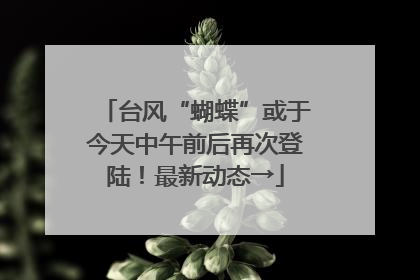 台风“蝴蝶”或于今天中午前后再次登陆！最新动态→